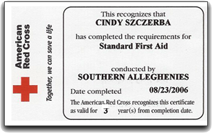 redcross2